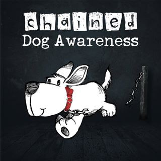 chained dog awareness nz